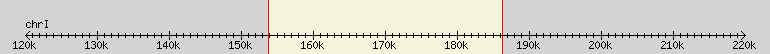 __scale__ region