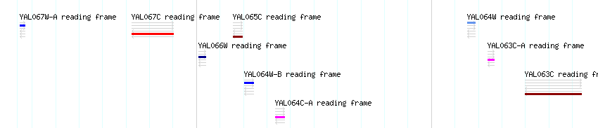 CDS detail