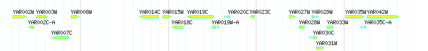 Genes detail