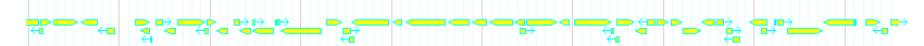 Genes detail