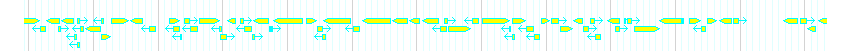 Genes detail