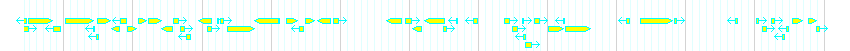 Genes detail