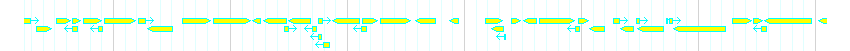 Genes detail
