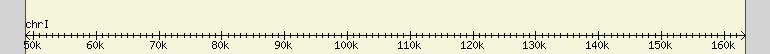 __scale__ region