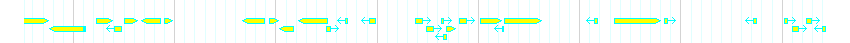 Genes detail