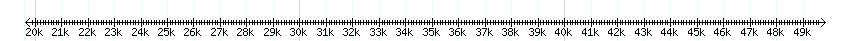 __scale__ detail