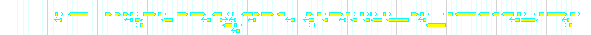 Genes detail