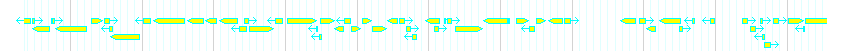Genes detail