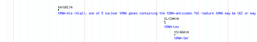 tRNAs detail