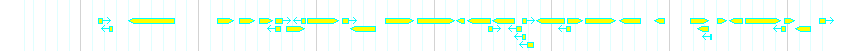 Genes detail