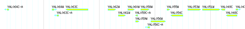 Genes detail
