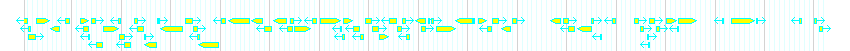 Genes detail