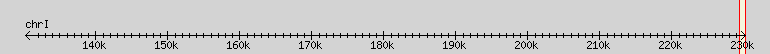 __scale__ region