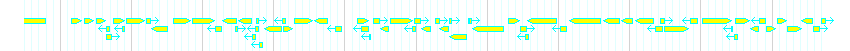 Genes detail