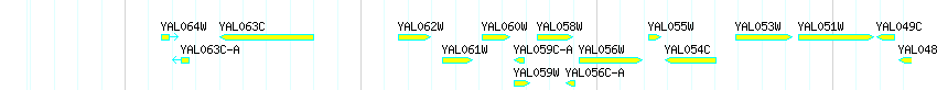 Genes detail