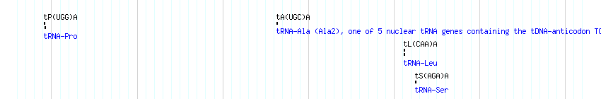 tRNAs detail