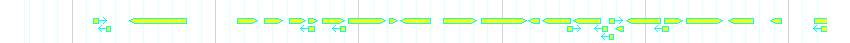 Genes detail