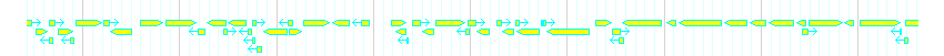 Genes detail
