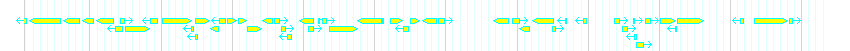 Genes detail