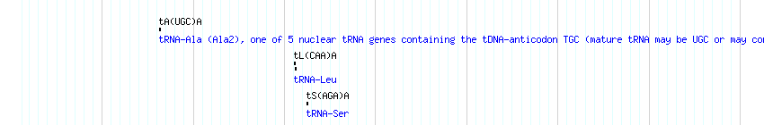 tRNAs detail