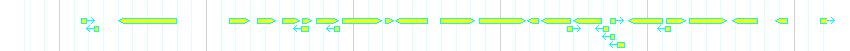 Genes detail