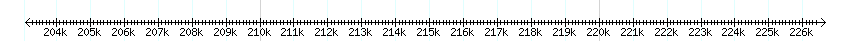 __scale__ detail