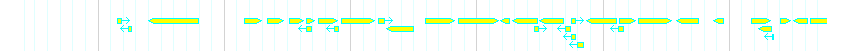 Genes detail