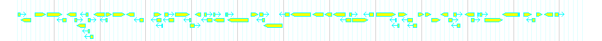 Genes detail