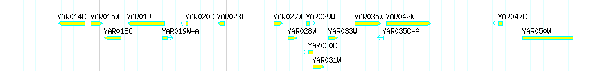 Genes detail