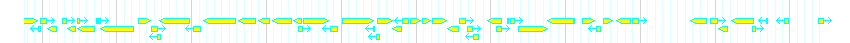 Genes detail