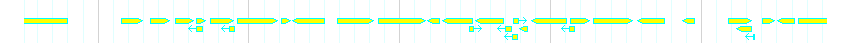 Genes detail