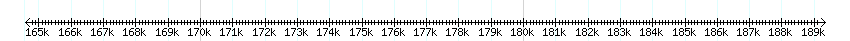 __scale__ detail