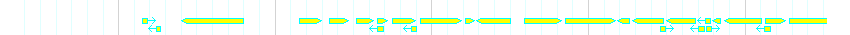 Genes detail