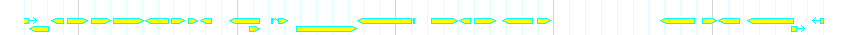 Genes detail