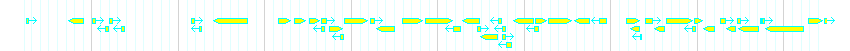 Genes detail