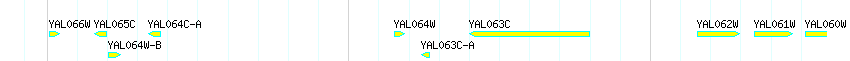Genes detail
