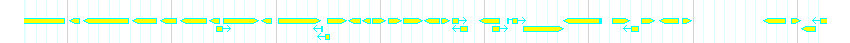 Genes detail