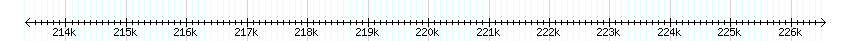__scale__ detail