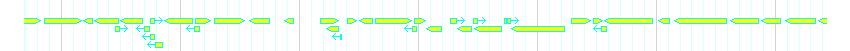Genes detail