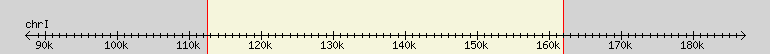 __scale__ region