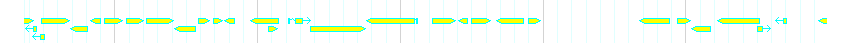 Genes detail