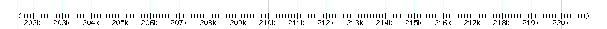 __scale__ detail