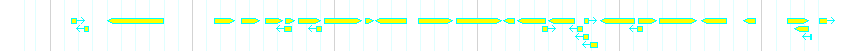 Genes detail