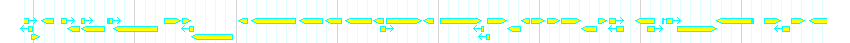 Genes detail