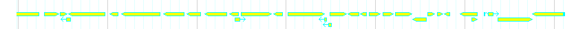 Genes detail
