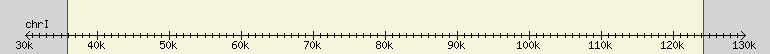 __scale__ region