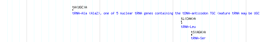 tRNAs detail