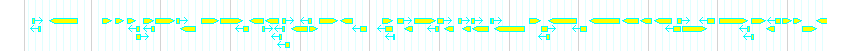 Genes detail