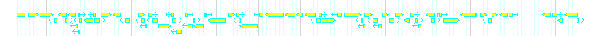 Genes detail