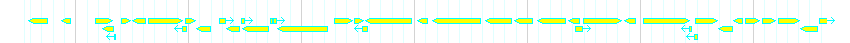 Genes detail